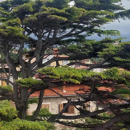 Viktoria Near Beach, Tartini Square Is Peaceful, Unique And Cosy For Lgbtq,, Couples Getaway, Families & Friends * 피란